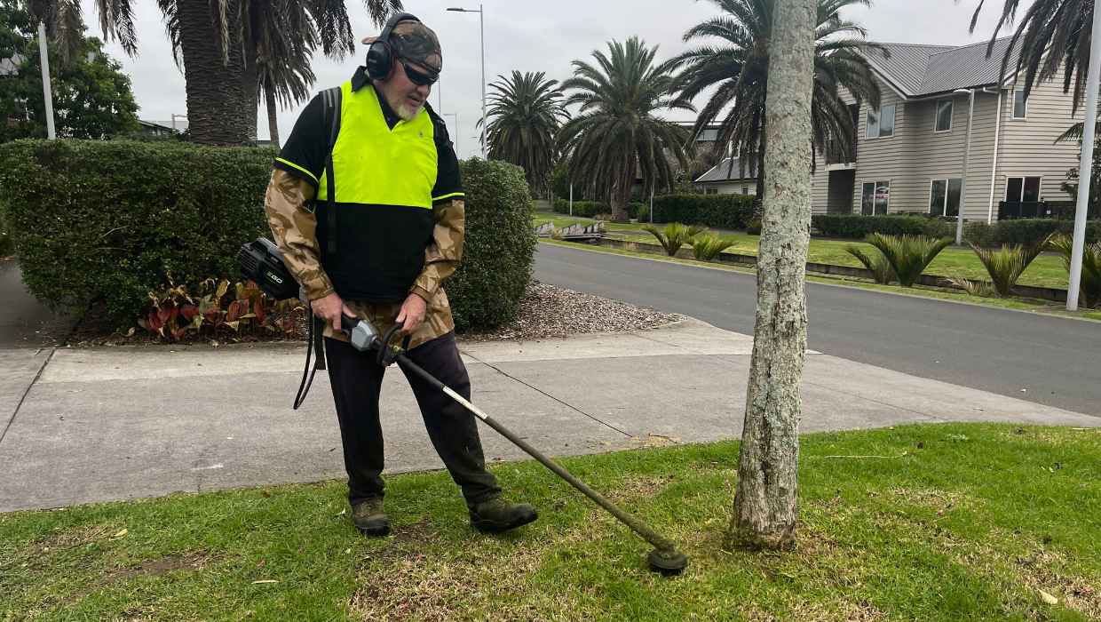 Clean Planet's Commercial Carpet Cleaning Service in Auckland