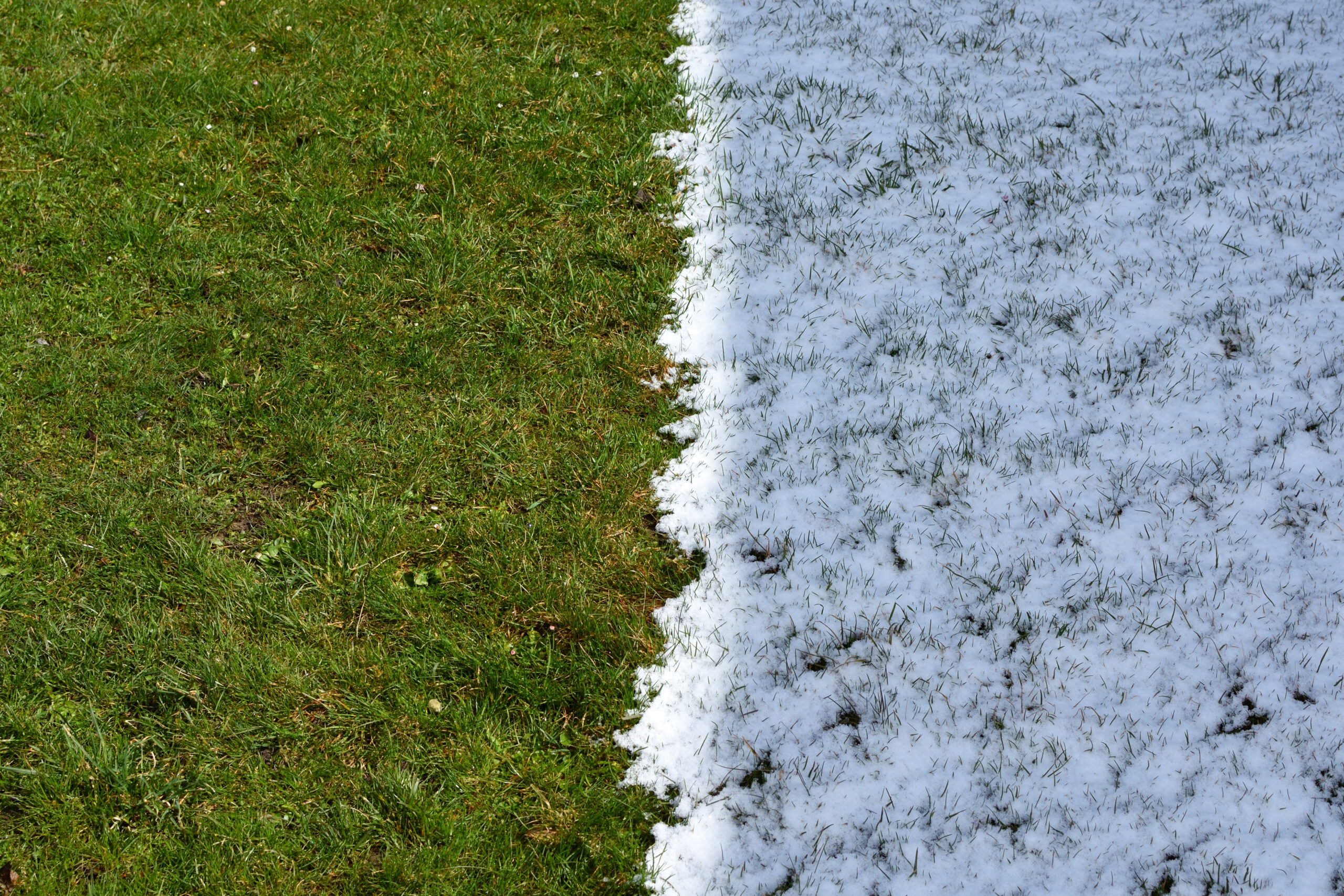 Why it’s the Perfect Time to Prepare Your Lawn for Spring